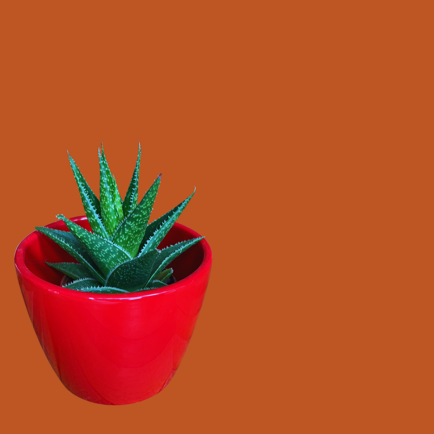Plant pot - Mini size vibrant red
